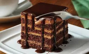 Chocolate Lasagna